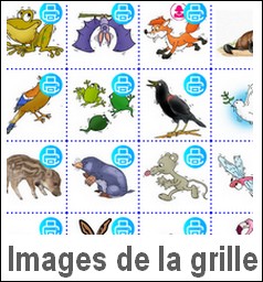 Images de la grille